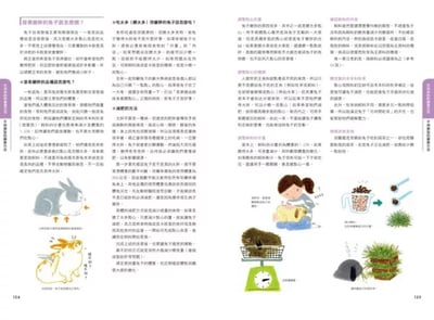 《書》兔兔喜歡吃什麼？兔子的飲食與營養百科  新版 よくわかるウサギの食事と栄養10