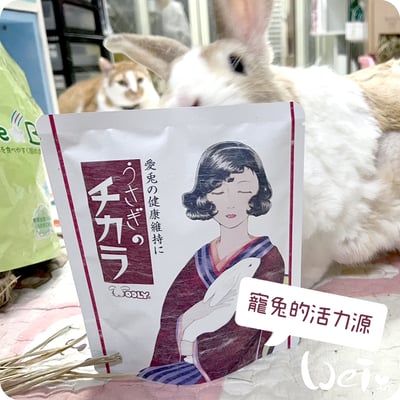 WOOLY 寵兔的活力源6