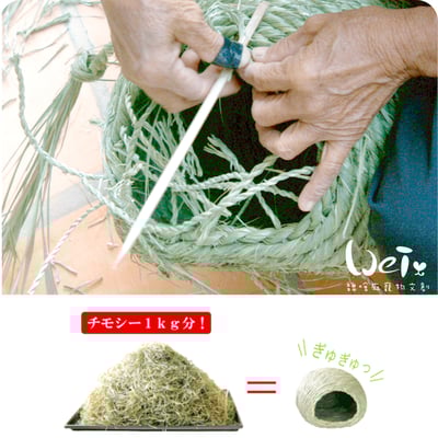 日本KAWAI 提摩西 兔子沙發臥榻L4