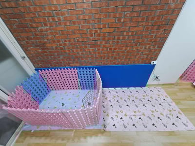 (暫停接案) 兔子私房住宿 - 呵ki家 (土城)3