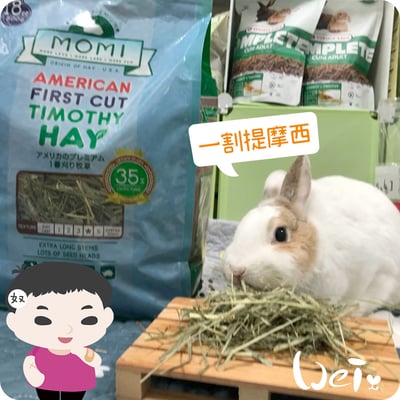 摩米MOMI T1 一割經典提摩西1