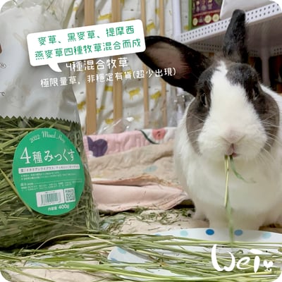 WOOLY高原的混合牧草(四種混合草)(本次貨櫃未到)14