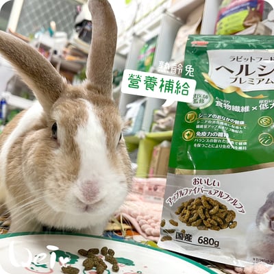 日寵老兔營養補給兔糧(4歲以上)2