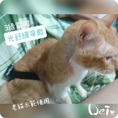 舒服樂 光舒緩穿戴 / 寵物居家三級雷射5