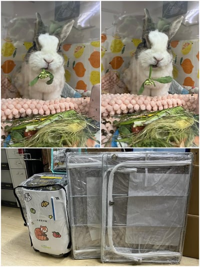 【新北板橋-租借】寵物用氧氣機 / 製氧機 說明 (長短期租賃)需自取19