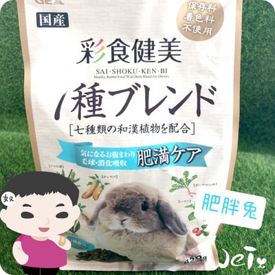 GEX彩食健美肥胖兔3