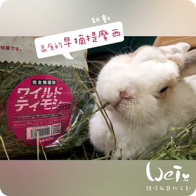 WOOLY高原的早摘提摩西幼割 (本次貨櫃未到)11