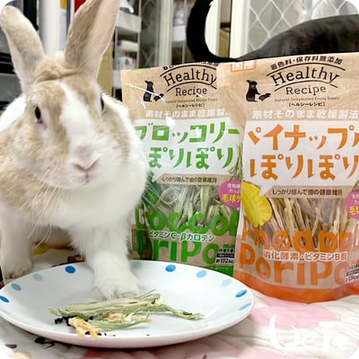 GEX健康食譜 酥脆鳳梨芯8