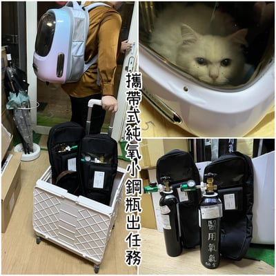 【新北板橋-租借】 寵物用 醫用氧氣鋼瓶(攜帶式氧氣瓶+家用型推車氧氣鋼瓶) 說明頁9