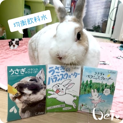 WOOLY 寵兔之均衡飲料水(本次貨櫃未到)1