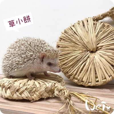 台灣草大餅/草小餅 (嘉義農夫純手工編織)13