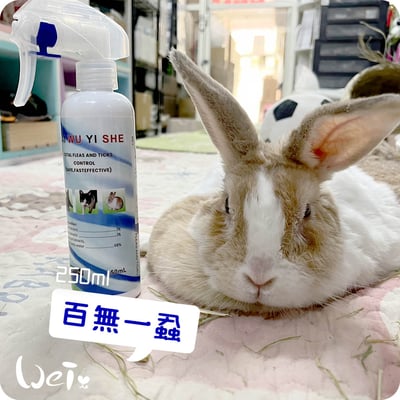 百無一蝨(新包裝)3