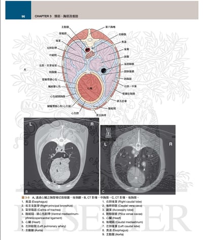 《書》犬解剖指引第八版8