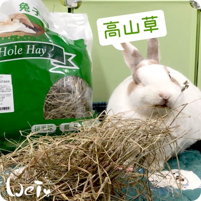 美國Rabbit Hole Hay兔子洞 高山草6