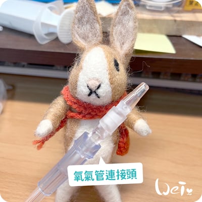 【氧氣機 / 氧氣鋼瓶配件】6米2米氧氣延長管/連接頭/小動物接氧配件管組/兒童面罩/聖誕樹接頭3