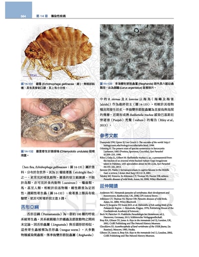 《書》禽鳥類醫學，第三版(現貨)7