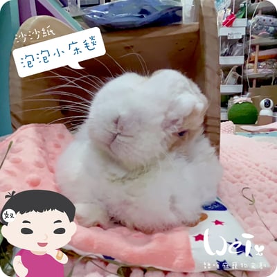 手作 - 泡泡小床毯 (沙沙響紙)7