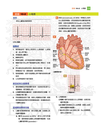 《書》小動物臨床技術，第三版2