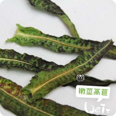 順月農園 乾燥脆脆菜9