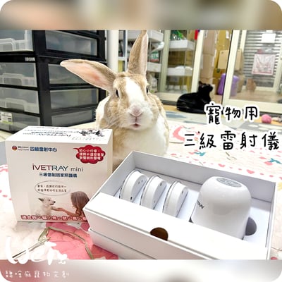 【新北板橋-租借】寵物用三級雷射儀  (舒服樂光舒緩穿戴 / iVETRAY mini三級雷射居家照護儀)   (老年毛孩)2