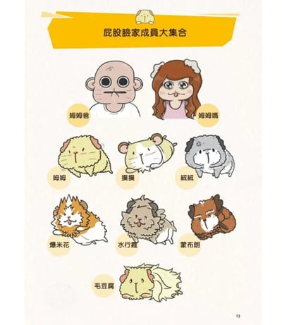 《書》快樂天竺鼠完全飼育指南：從飼養方法到照護指引，最完整的全方位圖解小百科12