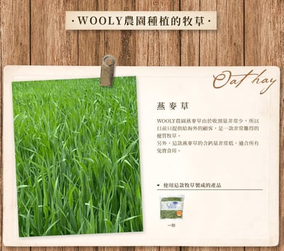 WOOLY高原的混合牧草(四種混合草)(本次貨櫃未到)5