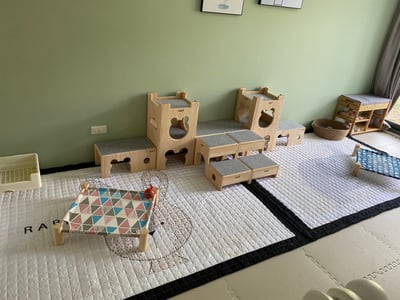 兔子私房住宿 - Cony和嘟嘟家 (新竹)4