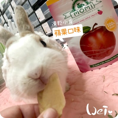 摩米MOMI 水果凍乾12