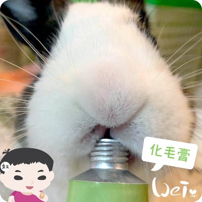 日本Sanko 愛兔化毛膏4