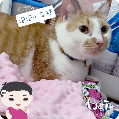 手作 - 泡泡小床毯 (沙沙響紙)17