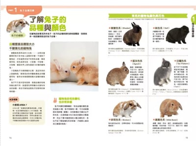 《書》第一次養兔兔就上手！ はじめてのうさぎ飼い方・育て方12