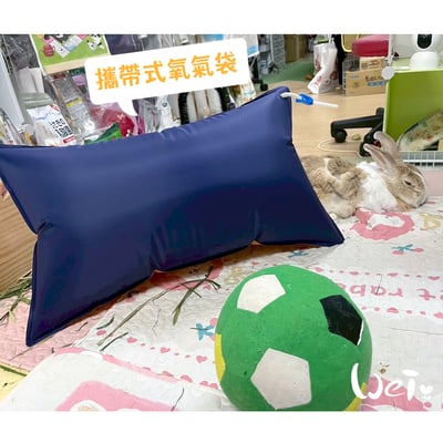 寵物用 攜帶式醫用氧氣袋10