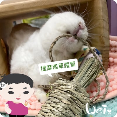 OXBOW提摩西草蘿蔔5