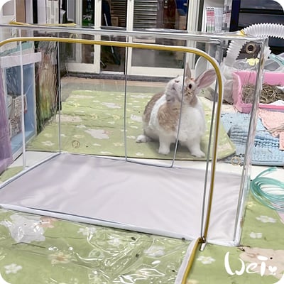 110L折疊全透明寵物氧氣箱-吸氧箱/噴霧箱/霧化箱9