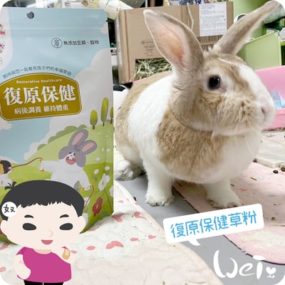 兔女郎點心吧 復原保健草粉2