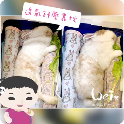 手作 - 我就靠你了! 透氣舒壓靠枕/枕頭5