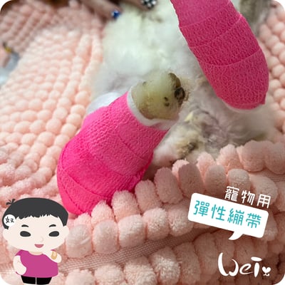 (包紮) 寵物可愛裹腳布-彈性繃帶 自黏繃帶16