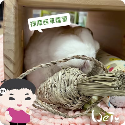 OXBOW提摩西草蘿蔔7