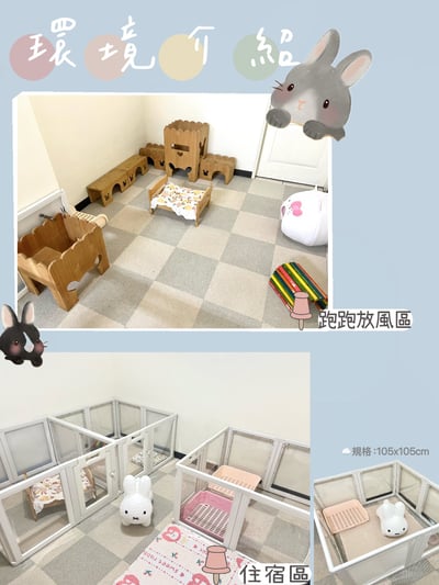 兔子私房住宿 - 一朵兔 (台中) -健康兔、可收老病兔等特殊照護2