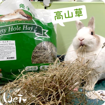 美國Rabbit Hole Hay兔子洞 高山草8