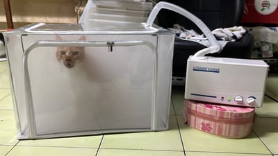 超音波噴霧機/霧化機 配件耗材賣場(折疊氧氣噴霧箱、伸縮噴霧管蛇形管蛇管、兒童面罩)13