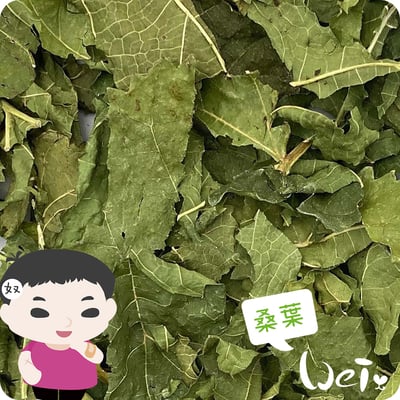 GEX健康食譜 桑葉2