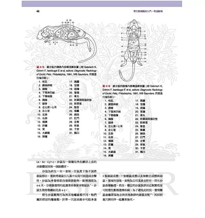 《書》野生動物臨床入門：恆溫動物(現貨)6