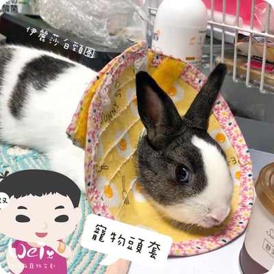 手作 - 寵物頭套/伊麗莎白頸圈/雷達 ( 結紮、術後、防舔咬、保護傷口用途)11