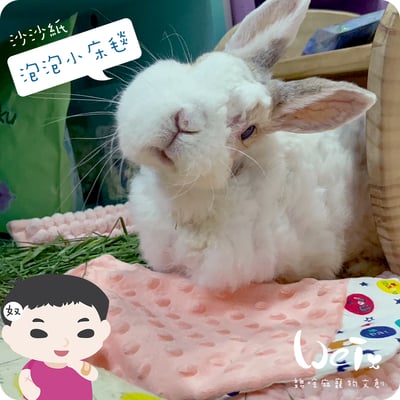 手作 - 泡泡小床毯 (沙沙響紙)3