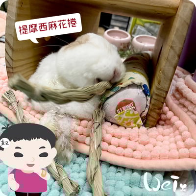 OXBOW提摩西麻花捲4