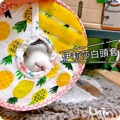 手作 - 寵物頭套/伊麗莎白頸圈/雷達 ( 結紮、術後、防舔咬、保護傷口用途)2