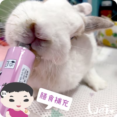 日本Sanko 草食動物糊狀膳食補充膏劑4