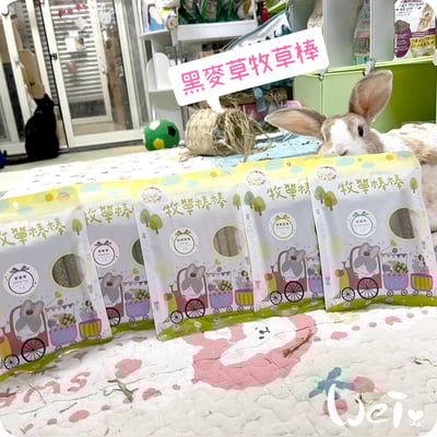 兔女郎點心吧 黑麥草牧草棒棒1