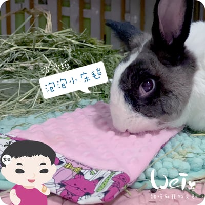 手作 - 泡泡小床毯 (沙沙響紙)9